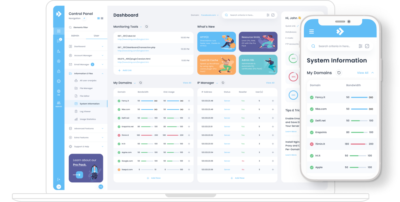 DirectAdmin Evolution skin dashboard showing domains, IP manager, and system information