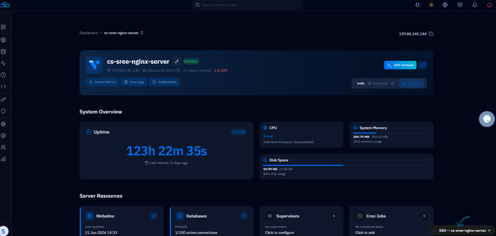 Fig. 05 — The terminal stays open and movable while you navigate other dashboard sections such as the Website Summary.