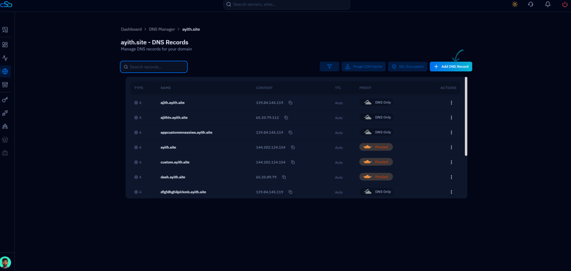 Fig. 03 — DNS records page for the selected domain with the Add DNS Record button highlighted in the top-right corner.