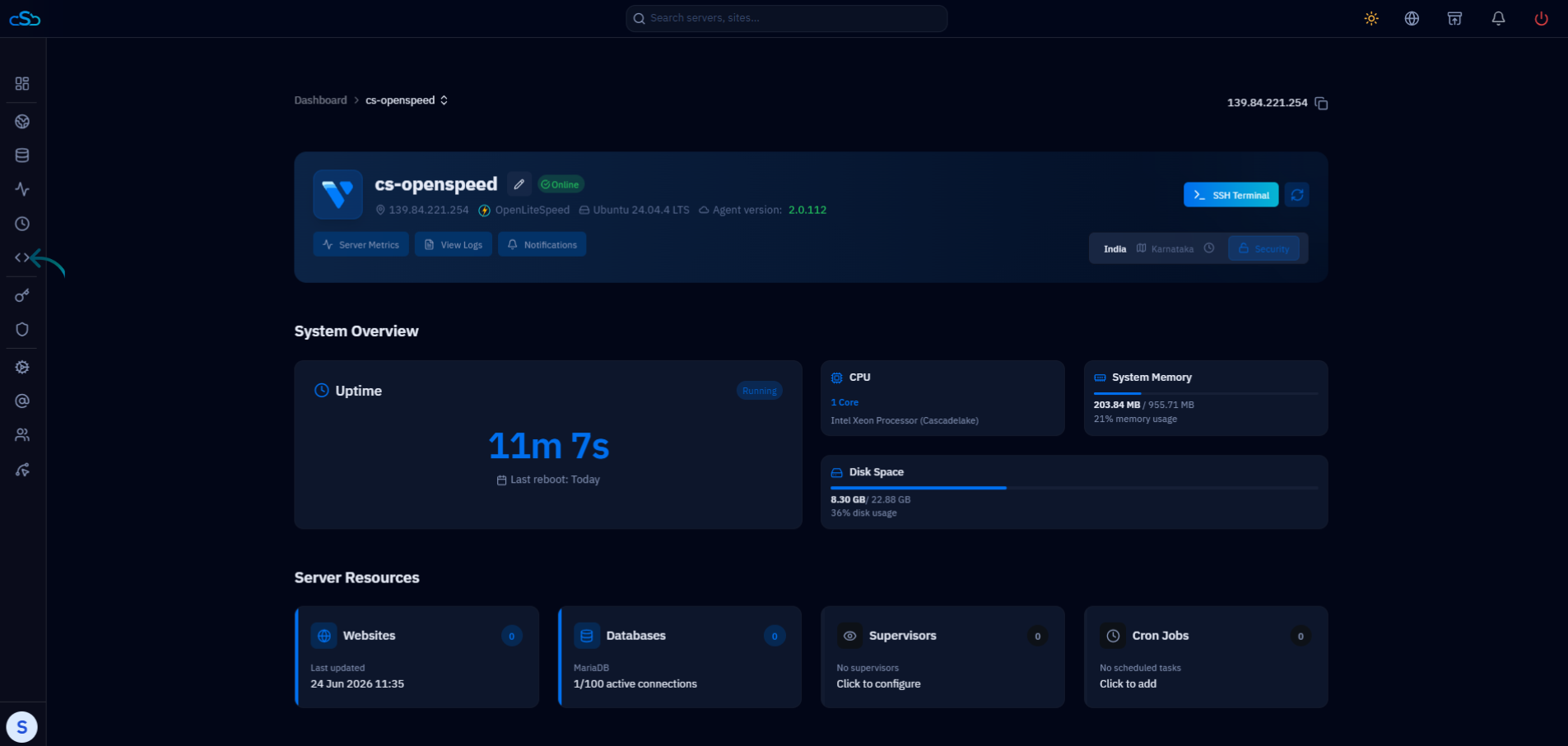 Fig. 02 — Server overview panel showing system metrics, uptime, and the left-hand navigation sidebar.