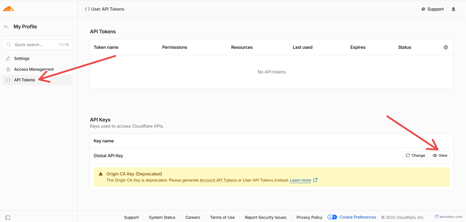 Fig. 02 — API Tokens page showing the Global API Key row with the View button.