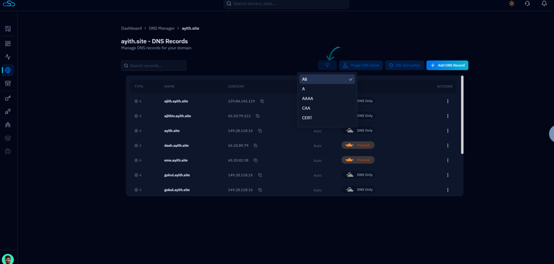 Fig. 04 — Filter dropdown open on the DNS Records page, showing available record type options.