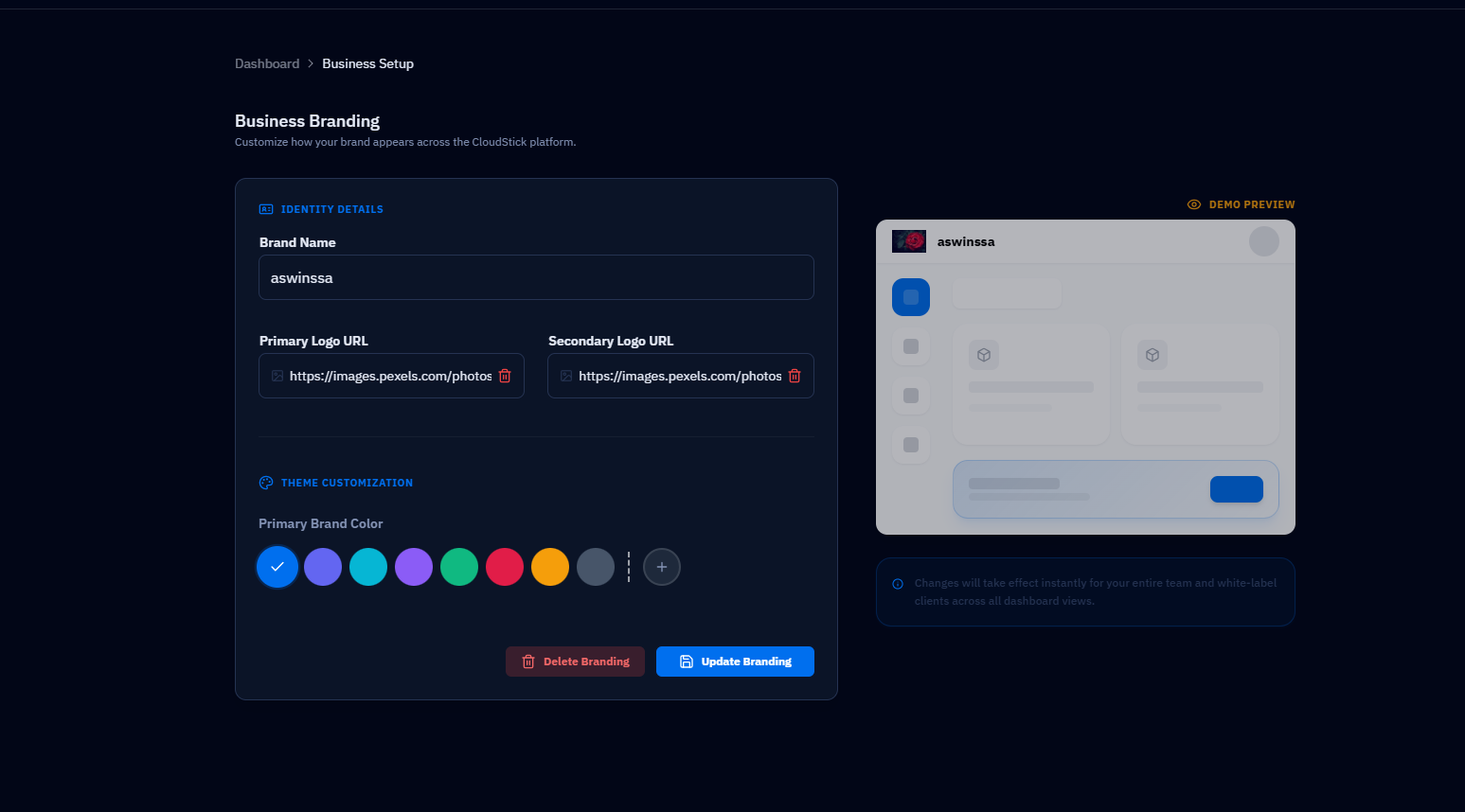 CloudStick Business Branding setup with brand name, logo URLs, brand color, and live dashboard preview